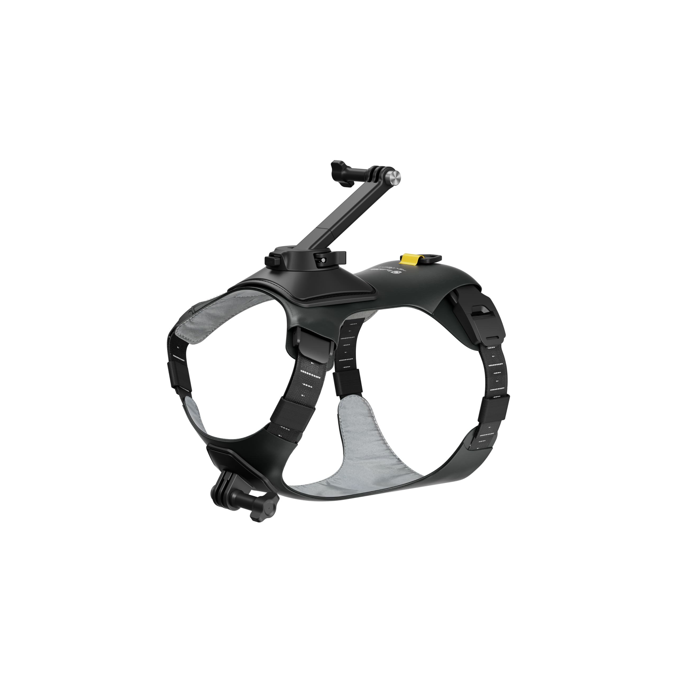 insta360-go-3-go-3s-harnais-pour-animal-domestique-taille-m image 4