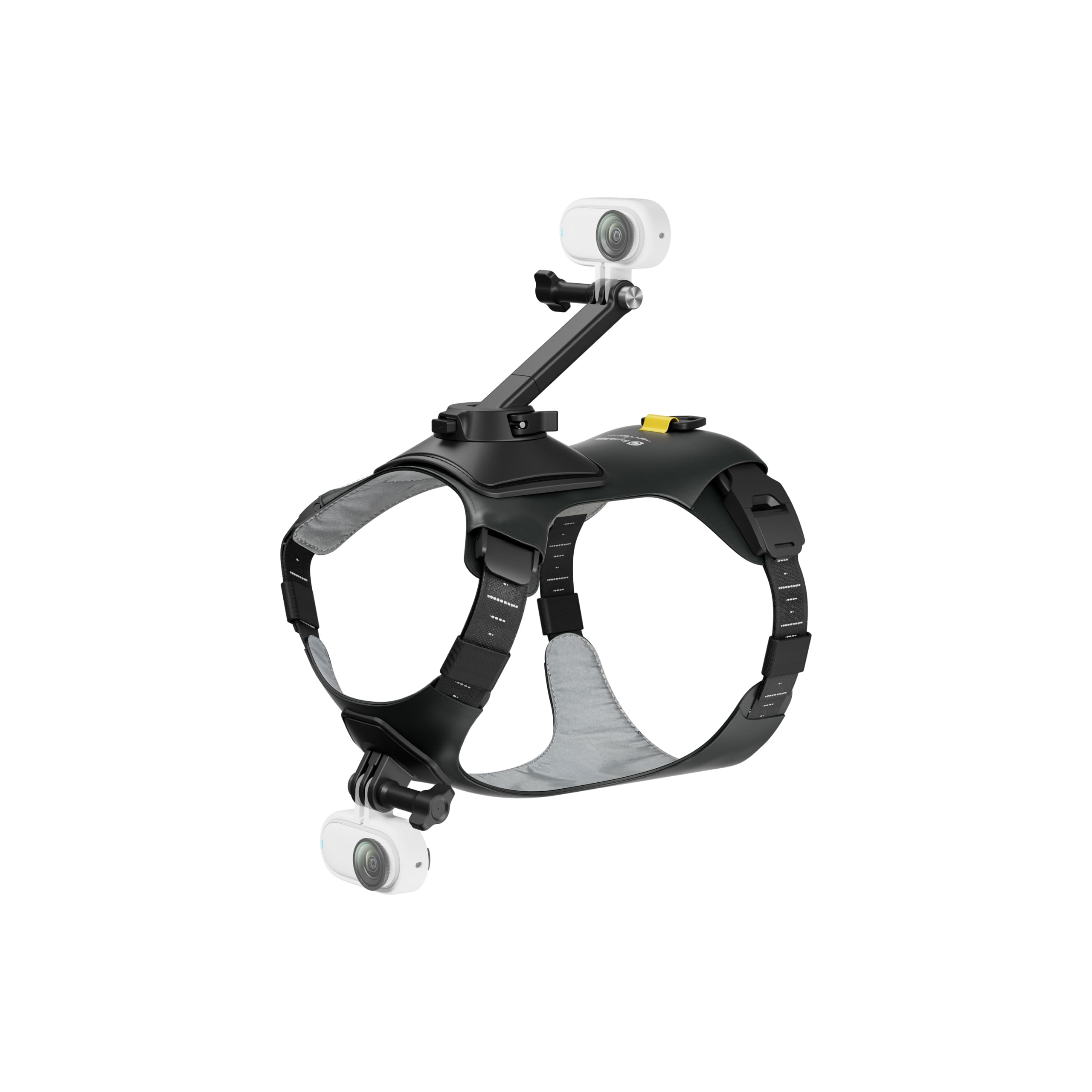 insta360-go-3-go-3s-harnais-pour-animal-domestique-taille-m image 5
