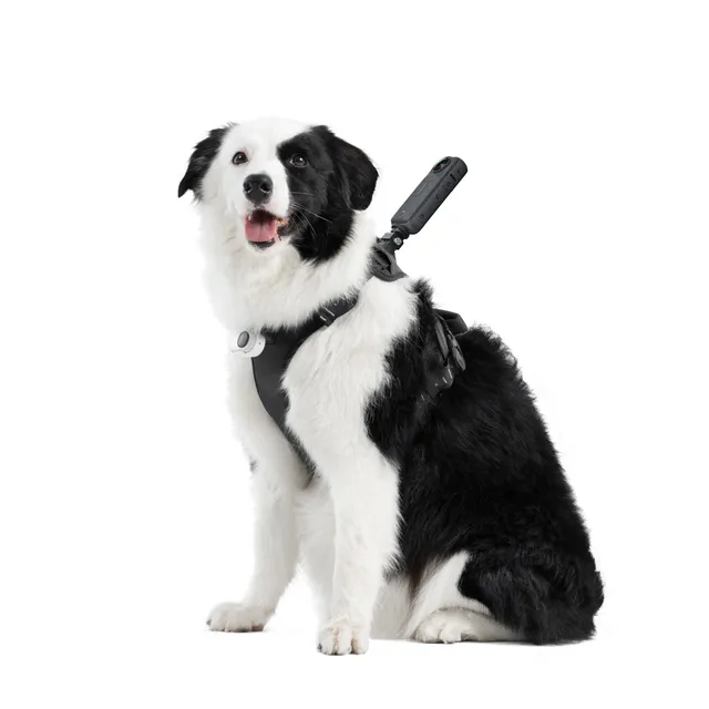 insta360-pet-harness-mount-taille-l-harnais-animal image 1