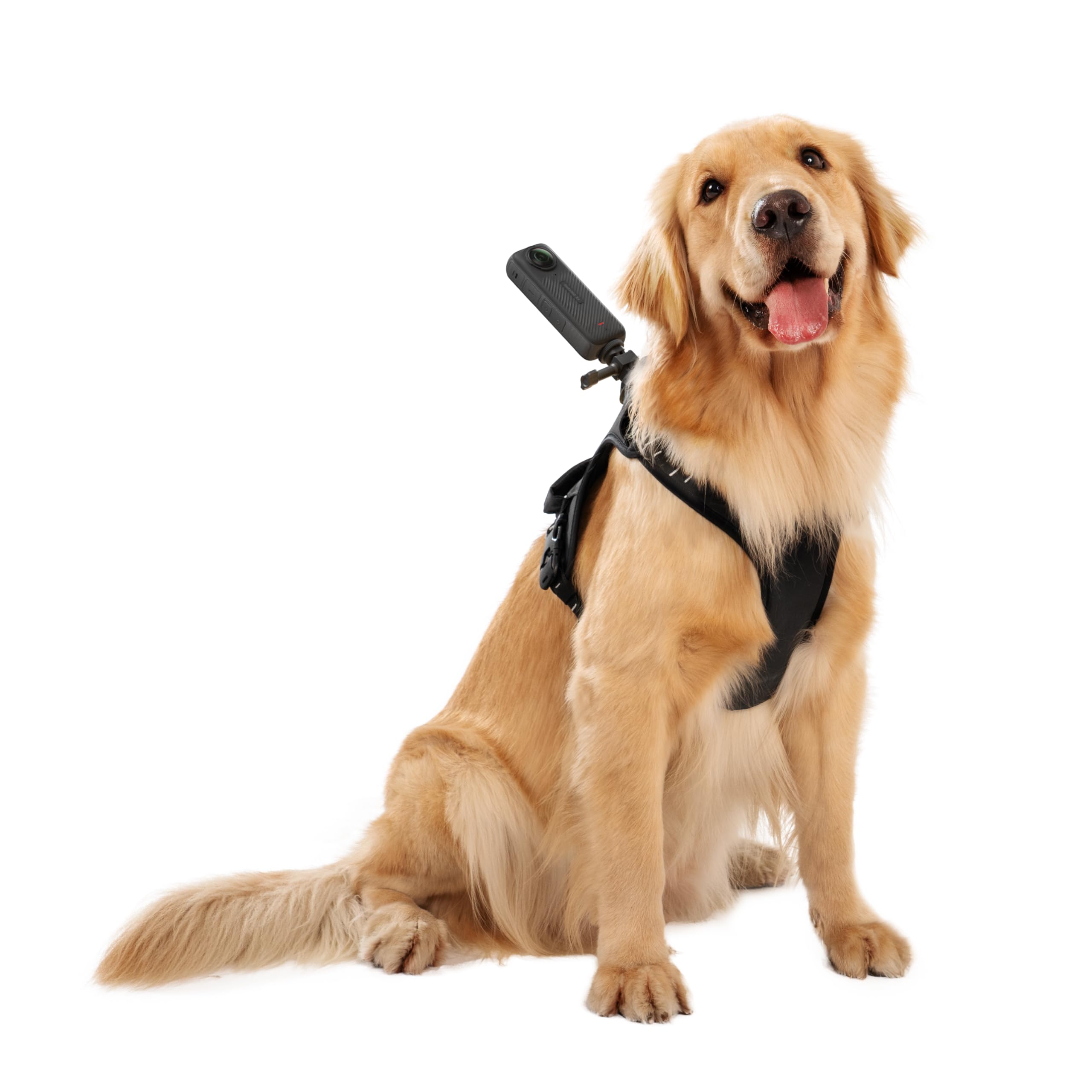 insta360-pet-harness-mount-taille-l-harnais-animal image 6