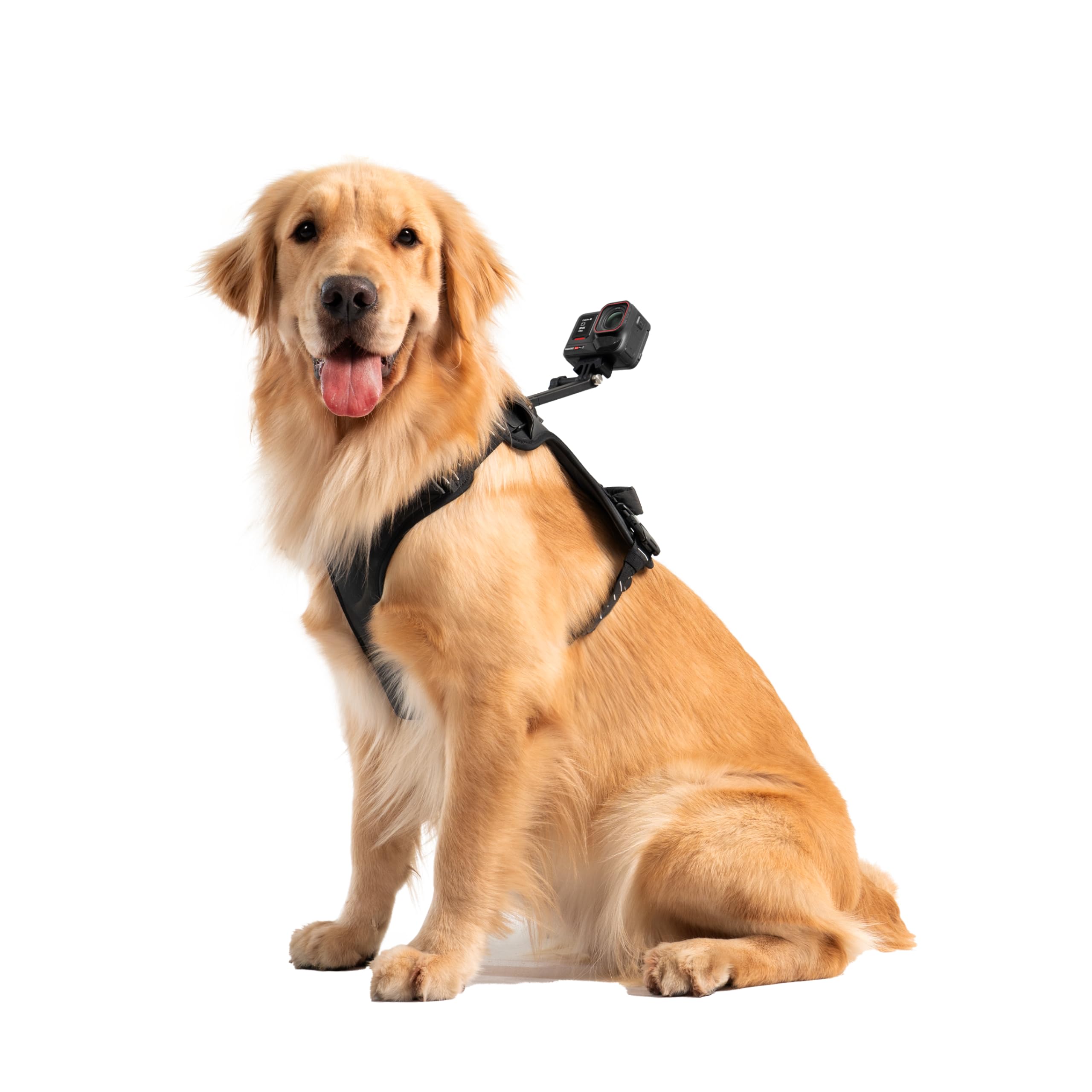 insta360-pet-harness-mount-taille-l-harnais-animal image 5