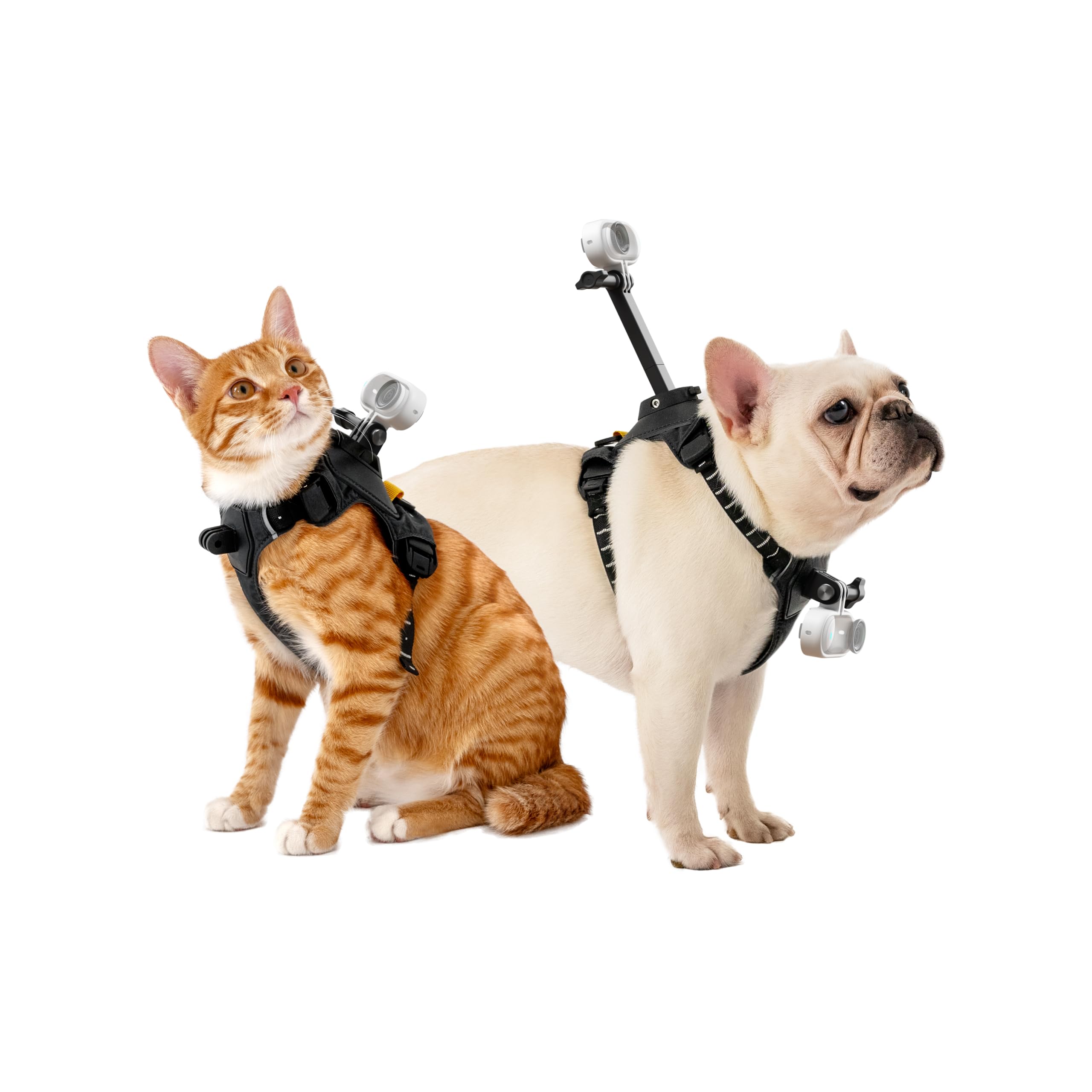 insta360-go-3-go-3s-harnais-pour-animal-domestique-taille-m image 2