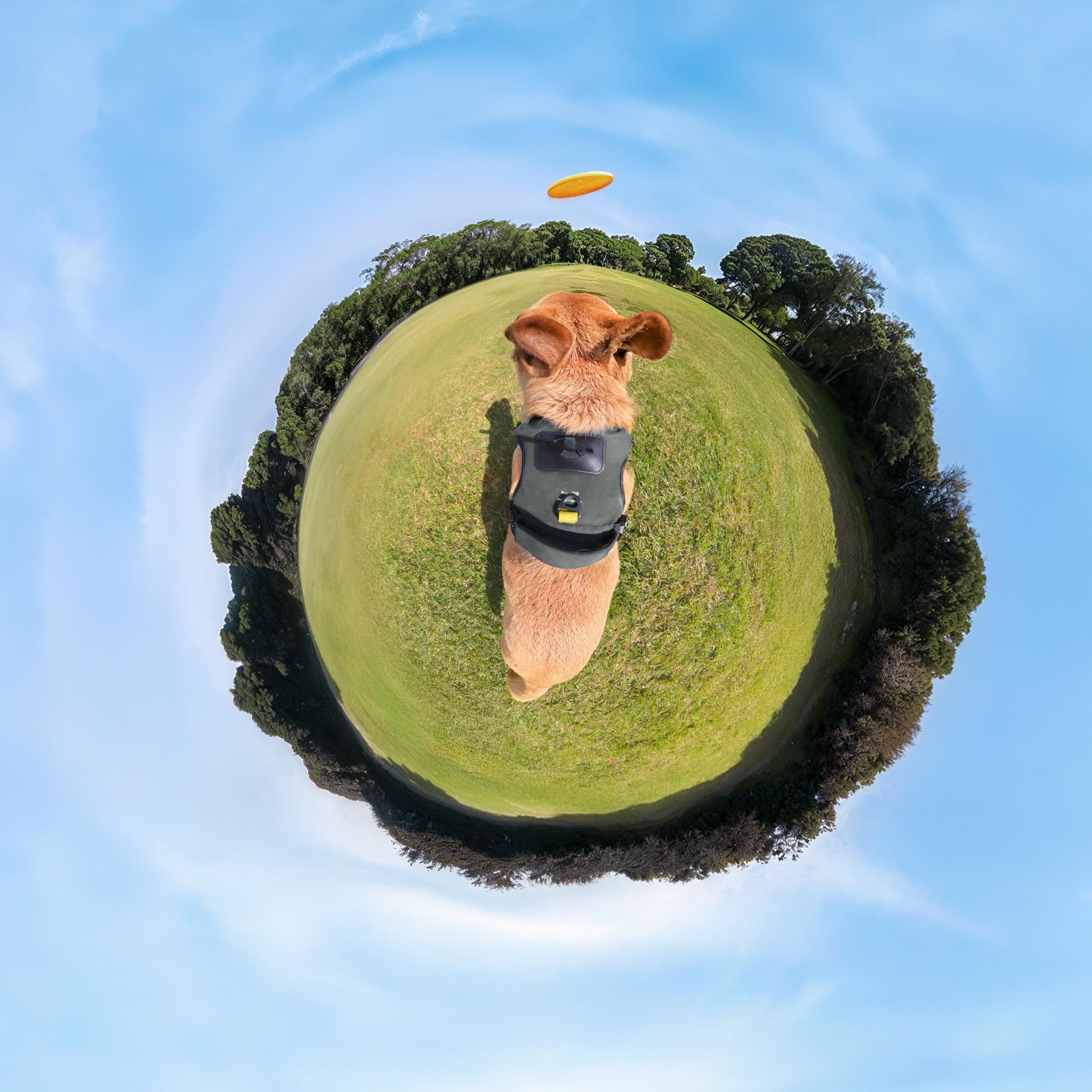 insta360-pet-harness-mount-taille-l-harnais-animal image 2